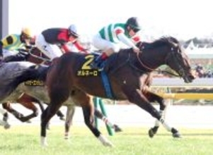 【クロッカスＳ】半姉にＧ１馬がいる良血オルネーロが競り勝つ　ルメール騎手「一生懸命すぎるぐらい」