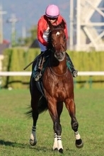 【きさらぎ賞・坂本の特注馬】鞍上がしっかりと成長を実感するゴーイントゥスカイ　荻野極騎手「状態も体も良くなった」