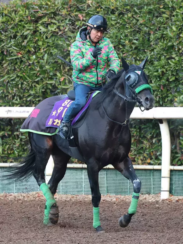 【アル・クオーツ・スプリント】阪神Ｃで復活Ｖのルガルが招待を受諾