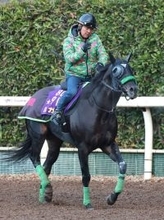 【アル・クオーツ・スプリント】阪神Ｃで復活Ｖのルガルが招待を受諾