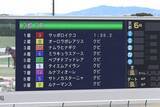 「京都５Ｒで珍事発生！１～９着までの着差がすべて「クビ」　勝ち馬と９着馬のタイム差は０秒４」の画像1