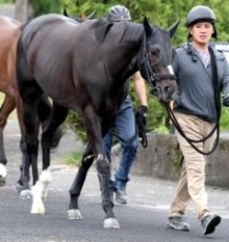 【注目馬動向】昨年のシンザン記念Ｖ　リラエンブレムは大阪城Ｓで復帰へ　武幸調教師「レースまでに上げていければ」