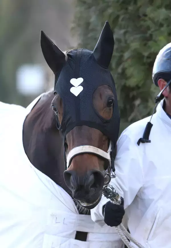 【フェブラリーＳ】ハートの流星ダブルハートボンドは５枠９番　２年連続Ⅴの好枠をゲットで牝馬初Ｖへ