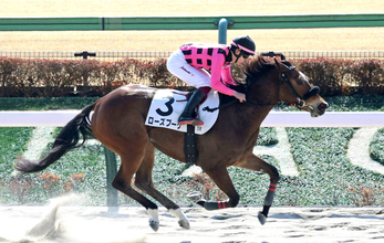 【東京３Ｒ】東京の３歳世代ラスト新馬戦は横山武史騎手とローズブーケが制する「内容のあるレース」
