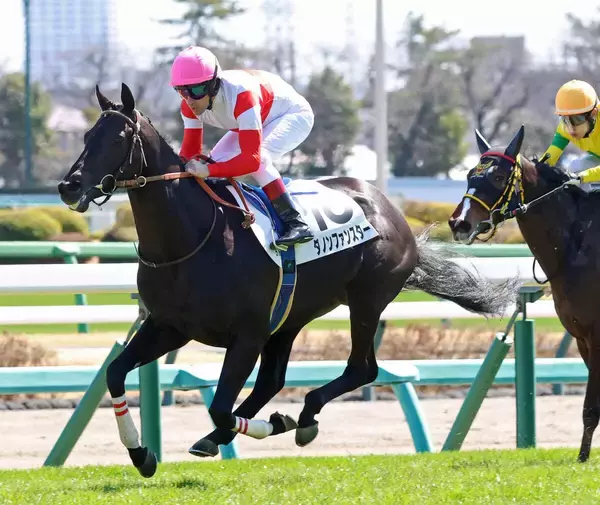 未出走馬が経験馬１７頭をなで斬り！「えらい馬でて来た」「怪物？」ネットは大喜び　中山５Ｒのダノンファンスター