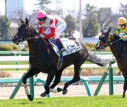 未出走馬が経験馬１７頭をなで斬り！「えらい馬でて来た」「怪物？」ネットは大喜び　中山５Ｒのダノンファンスター