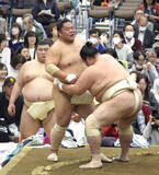 「大栄翔、目指すは角界の「百獣の王」　まずは三役復帰へ照準「早く元いた位置に」」の画像1