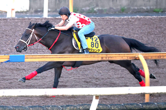【中京記念・１週前】実績上位のラヴァンダは重賞２勝目へ　コースでしっかり　中村調教師「体調は問題ないです」