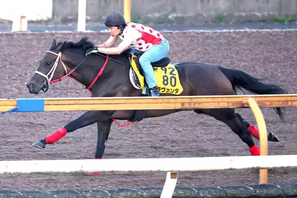 【中京記念・１週前】実績上位のラヴァンダは重賞２勝目へ　コースでしっかり　中村調教師「体調は問題ないです」