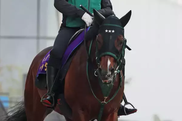 【キーンランドＣ・土曜気配】連覇狙うパンジャタワーは活気満点　陣営「レースに向けての馬の気持ちは去年より強い」
