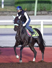 【中京２歳Ｓ】前川調教師「バネがあってゴムまりみたい」好素材ジーティーマイカで厩舎重賞初Ｖへ