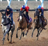 「【新潟記念】２４年牝馬２冠のチェルヴィニアを復活へ導く　「さすがＧ１馬」津村明秀騎手が初コンタクト」の画像1