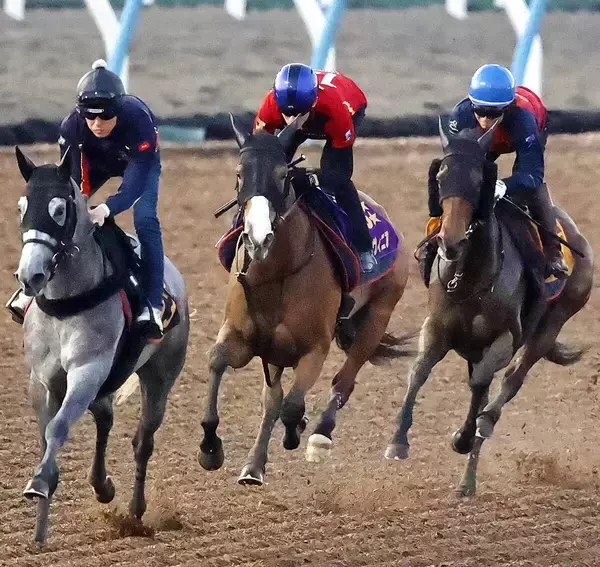 【新潟記念】２４年牝馬２冠のチェルヴィニアを復活へ導く　「さすがＧ１馬」津村明秀騎手が初コンタクト