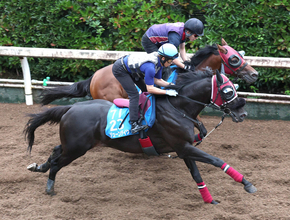 【オールカマー】武豊騎手と臨むジューンテイクは好気配　調教時計は控えめも陣営「しっかり乗り込んでいる」