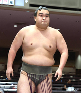 朝阪神と３１代横綱・常ノ花の玄孫ら９人が引退…日本相撲協会が発表