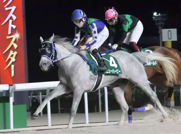 【ネクストスター名古屋】ニューハーピーが４連勝で重賞初勝利　渡辺竜也騎手「直線に向いてもうひとつギアが入ってくれた」