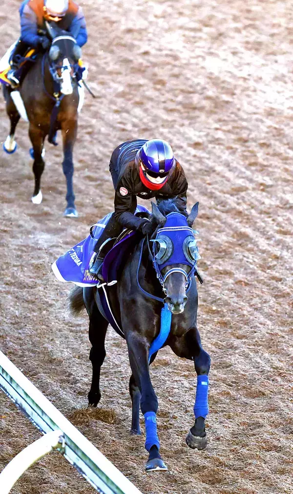 【朝日杯ＦＳ・イシゴーが見た】圧勝続きリアライズシリウスは「ガラッと変わってきた」　津村明秀騎手が感じた急上昇ぶり