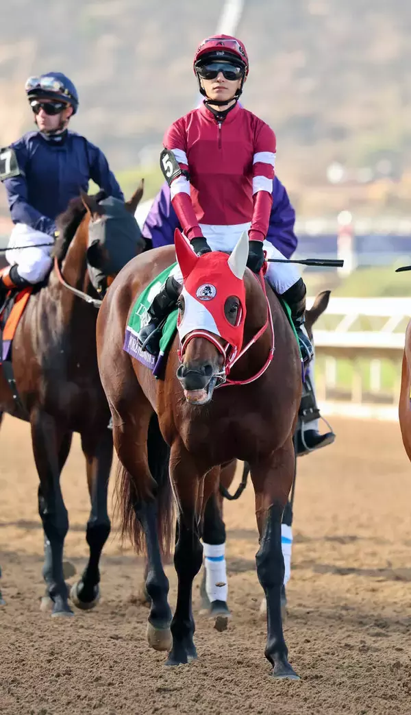 フォーエバーヤングに本場アメリカから複数の種牡馬オファー届く　藤田晋オーナー「中東が明けてから考えていきたい」