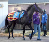 「日曜京都競馬場の注目激走馬…京都１１Ｒ京都金杯・Ｇ３」の画像1