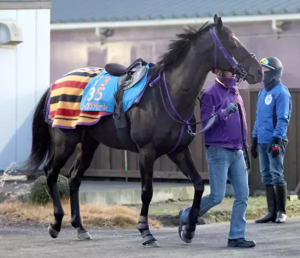 日曜京都競馬場の注目激走馬…京都１１Ｒ京都金杯・Ｇ３
