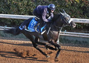 【東京新聞杯】充実一途のブエナオンダが重賞連勝へ　陣営「去年の夏に休ませたのが良かった」