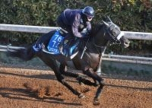 【東京新聞杯】充実一途のブエナオンダが重賞連勝へ　陣営「去年の夏に休ませたのが良かった」