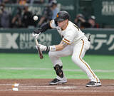 「【巨人】キャベッジが３三振＆落球も…橋上コーチ「なんとか塁に出ようというところだと思います」」の画像1