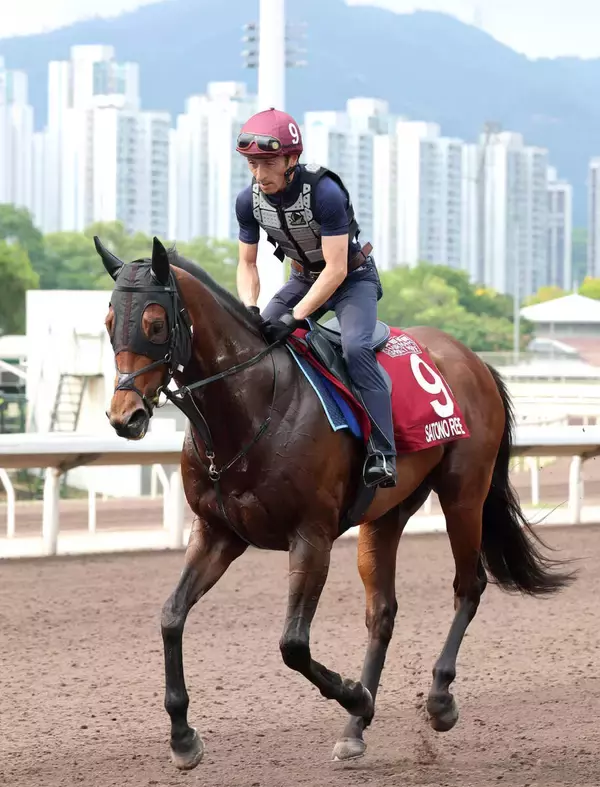 【香港チャンピオンズデー】サトノレーヴは順調　陣営も「活気のある走り」　日本勢の現地での調整ぶりを香港ジョッキークラブが公開