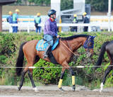 「【平安Ｓ】ダイオライト記念５着のナルカミが初のＪＲＡ重賞制覇だ　巻き返しへ田中博康調教師の考える作戦とは」の画像1