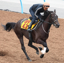 【府中牝馬Ｓ・金曜気配】テリオスララは両にらみからここ選択　田島調教師は「総合的に決めた」と説明　調整は順調