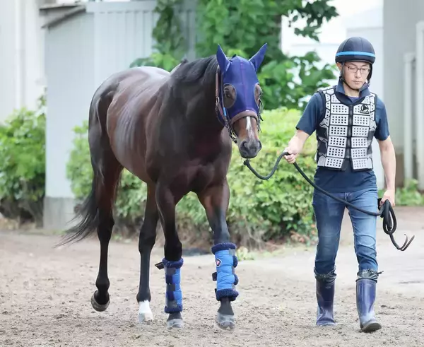 安田記念馬シックスペンスはジャックルマロワ賞を目指す　シュトラウスも　キャロットクラブが発表