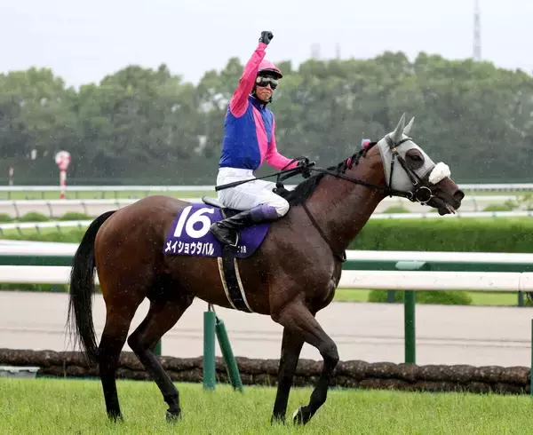 武豊騎手で宝塚記念連覇のメイショウタバルが日本馬最上位タイに急浮上　フォーエバーヤングと並ぶ世界１２位