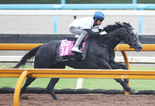 【ローズＳ】アンジュドジョワは新コンビの北村友一騎手騎乗で力強い伸び　福永調教師「動ける状態にはある」