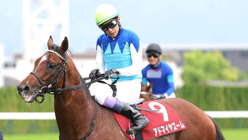 【注目馬動向】武豊騎手と富士Ｓで復帰のアドマイヤズームが栗東に帰厩　友道調教師「ここからマイルＣＳに行く予定です」