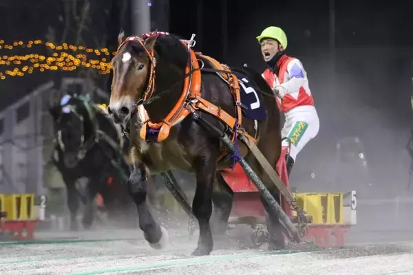 【ばんえい十勝】クリスタルザイオンが２歳世代最初の重賞勝利　西謙一騎手は兄クリスタルコルドの雪辱