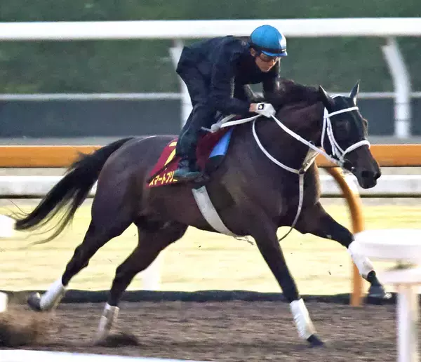 【秋華賞】スマートプリエールは馬なりで鋭伸　初コンタクトの幸英明騎手「やっぱりいい馬だなと感じました」