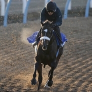 【チャンピオンズカップ】馬トク外厩情報…傾向が読みにくい年　唯一のノーザンファーム天栄帰りが浮上する可能性