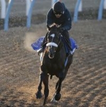 【チャンピオンズカップ】馬トク外厩情報…傾向が読みにくい年　唯一のノーザンファーム天栄帰りが浮上する可能性