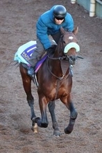 【有馬記念】サンライズジパングは肉体面の上積み大　前川調教師「筋肉が戻ってきた」