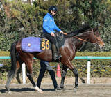 「【ブルーバードＣ】覚醒した１勝馬がダート３冠路線開幕戦の主役に　前走大差勝ちのフィンガーが決める」の画像1