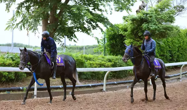 【日本ダービー】手塚貴久調教師、悲願達成へ思い「年々強くなっています」…有力馬リアライズシリウス＆アウダーシア２頭出し