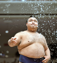 高安、パリ公演参加へ　夏場所は右太もも負傷で途中休場
