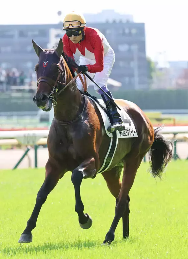 「さすがレジェンド」「すごく綺麗な映像」競馬の祭典でも“ブレない”武豊騎手にファン感動　ＪＲＡジョッキーカメラ公開