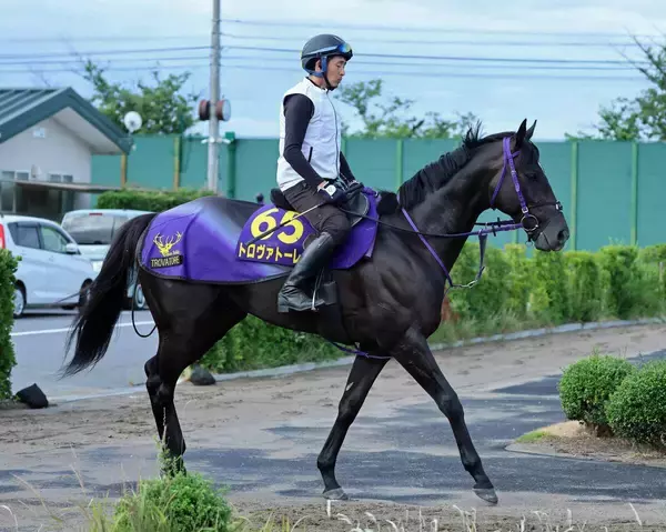 【安田記念・金曜気配】トロヴァトーレの大外１７番を鹿戸調教師は歓迎「ここ最近は８枠が…」ピンク帽３週連続Ｖへ