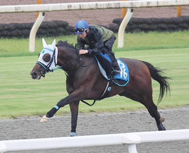 【北九州記念・水納の特注馬】力つけたアンクルクロスが楽しみ　鞍馬Ｓは自身も従来のレコード更新だった２着