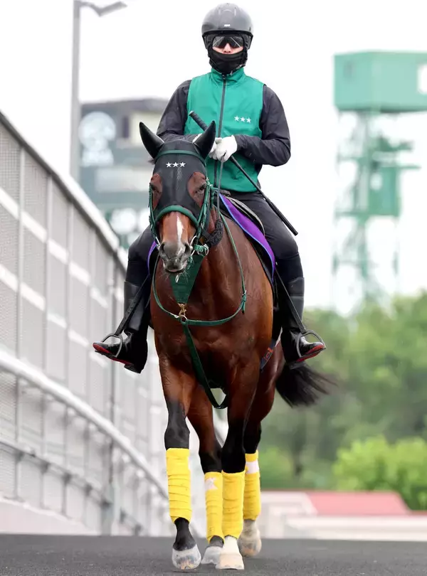 【注目馬動向】パンジャタワーは引き続き松山弘平騎手でスプリンターズＳへ　橋口調教師「武豊騎手にうまく乗られました」