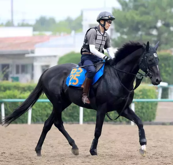 七夕賞で重賞初制覇のアスクナイスショーは全治９か月以上　右前浅屈腱炎が判明　ＪＲＡが発表