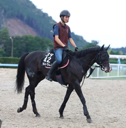月曜阪神競馬場メインレースの注目激走馬…阪神１１Ｒ神戸新聞杯・Ｇ２