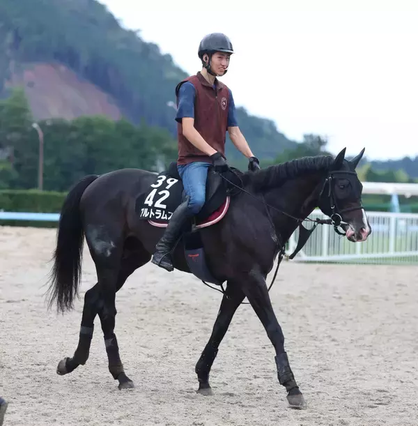 月曜阪神競馬場メインレースの注目激走馬…阪神１１Ｒ神戸新聞杯・Ｇ２