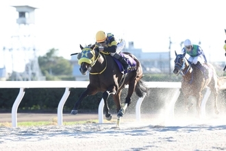 【岐阜金賞・笠松】１番人気のアースジャッジが完勝　同一オーナー、調教師のワンツーに丸野勝虎騎手「本当に良かった」